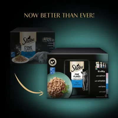 Sheba Fine Flakes in Jelly Fish Selection packaging update, now better than ever. Contains 12 x 85g with salmon, whitefish, tuna and cod. New pack shown next to old pack.