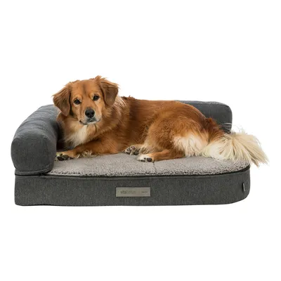 Hund liegt auf grauem Hundebett mit weicher Liegefläche und seitlicher Polsterung. Label sichtbar: VitalEdition Textil.