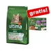 10 kg Ultima droogvoer + 8 x 85 g Ultima natvoer gratis!