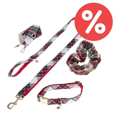 Set aus Hundehalsband, Leine, Kotbeutelspender und Haargummi im rot-weiß karierten Design. Rotes Prozentzeichen für Rabatt sichtbar.