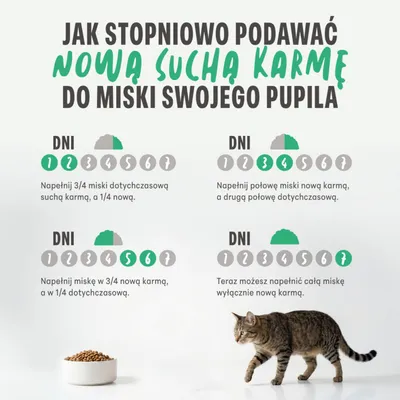 Grafika przedstawia stopniową zmianę karmy na nową suchą karmę przez 7 dni, z proporcjami ilości dla każdego etapu oraz kotem obok miski z suchą karmą. Grafika przedstawia stopniową zmianę karmy na nową suchą karmę przez 7 dni, z proporcjami ilości dla każdego etapu oraz kotem obok miski z suchą karmą.