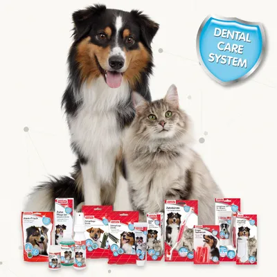 Gel dentifrice beaphar pour chien et chat
