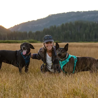 Due cani di taglia media con pettorine, uno blu e uno verde acqua, in un campo erboso accanto a una persona inginocchiata. Sullo sfondo alberi e montagne.