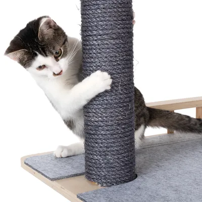 Cat using a scratching post with sisal-wrapped column and grey wooden base.