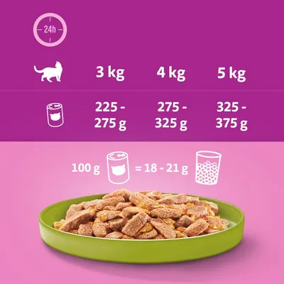 Conseils d’alimentation pour chat : 3 kg 225–275 g, 4 kg 275–325 g, 5 kg 325–375 g. 100 g de pâtée équivaut à 18–21 g de croquettes.