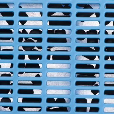 Primo piano di una griglia in plastica blu con pezzi neri sottostanti, probabilmente filtro a carbone attivo o lettiera in una scatola filtro.
