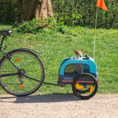 Fahrradanhänger für Haustiere von Hafenbande, blau mit Netzfenstern und orangefarbenen Akzenten. Kleiner Hund sitzt im Anhänger. Geeignet für Fahrradtouren.