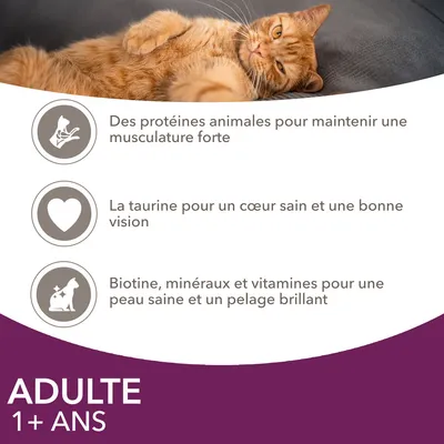 ADULTE 1+ ANS. Protéines animales pour la musculature, taurine pour le cœur et la vision, biotine, minéraux et vitamines pour une peau saine et un pelage brillant.