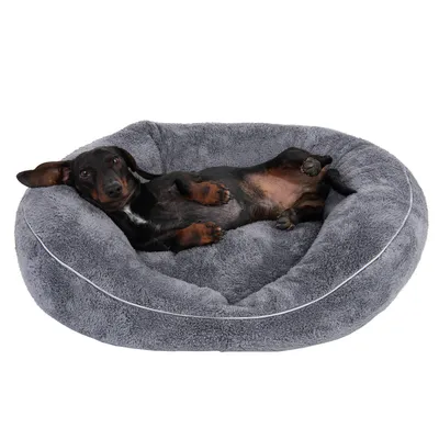 Modern Living Hundeseng Atlanta