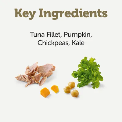 Hauptzutaten: Thunfischfilet, Kürbis, Kichererbsen, Grünkohl. Zutaten visuell dargestellt.