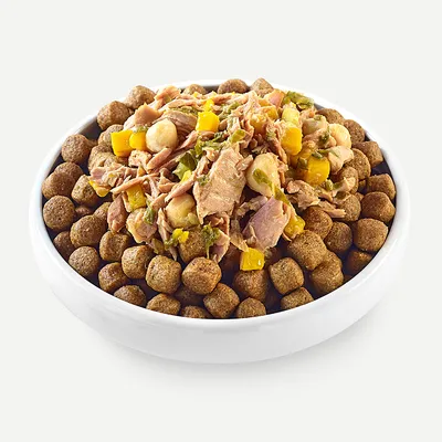 Schüssel mit braunen Trockenfutter-Kroketten, belegt mit Stückchen von Fleisch, gelbem Gemüse und grünen Kräutern.