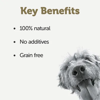 Klíčové výhody: 100% přírodní, bez přísad, bez obilovin. Viditelný pes s vyplazeným jazykem.