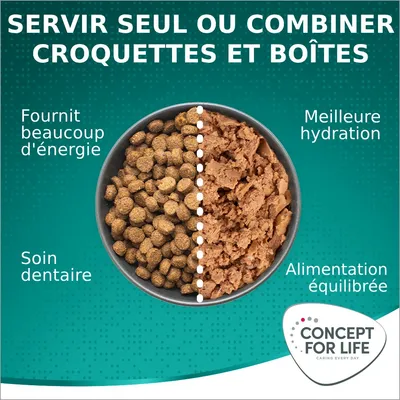 Concept for Life Large Adult