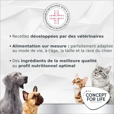 Recettes développées par des vétérinaires, alimentation sur mesure selon mode de vie, âge, taille et race du chien, ingrédients de qualité au profil nutritionnel optimal. Concept for Life.