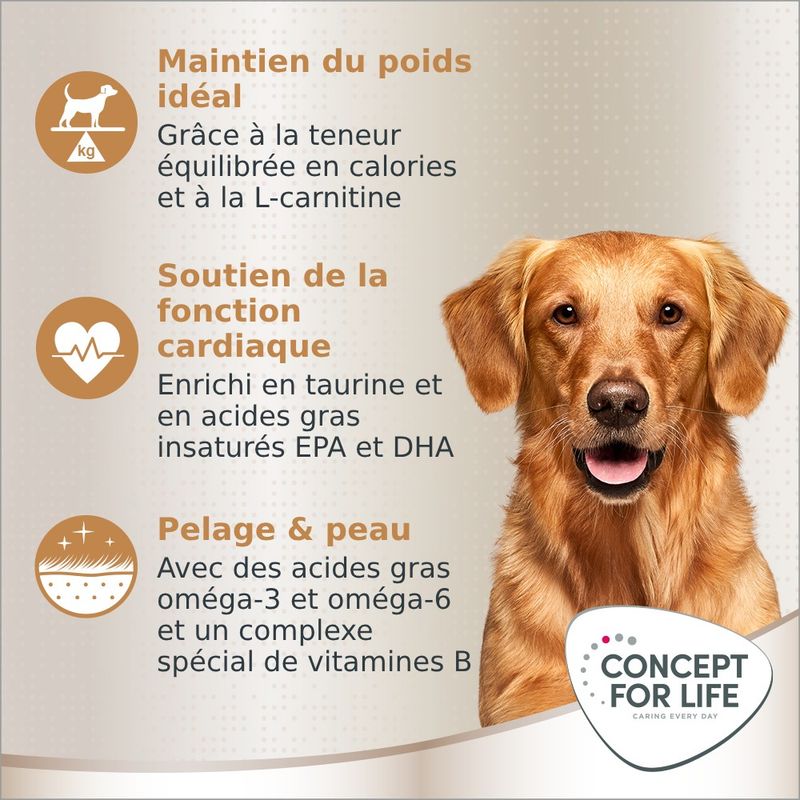 Concept for Life Golden Retriever Adult