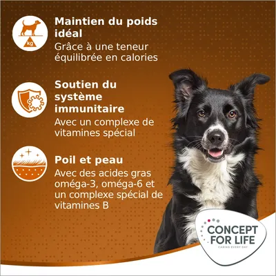 Concept for Life Medium Adult pour chien