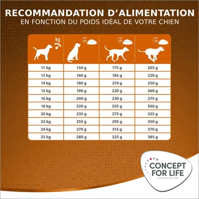 Concept for Life Medium Adult pour chien