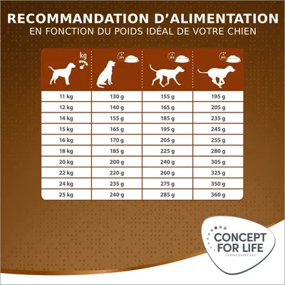 Concept for Life Medium Senior pour chien