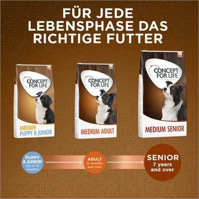 Tre confezioni di Concept for Life: Medium Puppy & Junior, Medium Adult, Medium Senior. Testo in tedesco e inglese sulle fasi della vita del cane: cucciolo fino a 12 mesi, adulto da 12 mesi, senior da 7 anni. Tre confezioni di Concept for Life: Medium Puppy & Junior, Medium Adult, Medium Senior. Testo in tedesco e inglese sulle fasi della vita del cane: cucciolo fino a 12 mesi, adulto da 12 mesi, senior da 7 anni.
