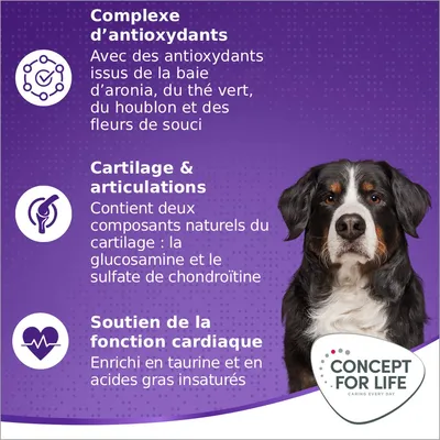 Concept for Life X-Large Adult pour chien