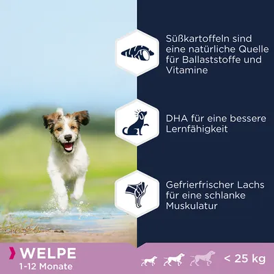 Mladič 1–12 mesecev, do 25 kg. Sladki krompir kot naravni vir vlaknin in vitaminov, DHA za boljše učenje, liofiliziran losos za vitko mišičje.