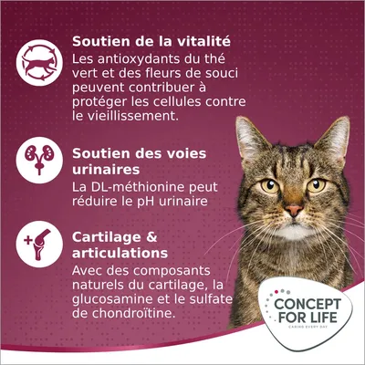 Soutien de la vitalité, des voies urinaires et des articulations chez le chat. Concept for Life. Texte sur antioxydants, DL-méthionine, glucosamine, sulfate de chondroïtine.