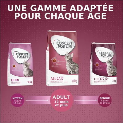 Concept for Life Kitten 10 kg, All Cats 10 kg, All Cats 10+ 3 kg. Gamme adaptée pour chaque âge : Kitten jusqu’à 12 mois, Adult 12 mois et plus, Senior à partir de 10 ans.