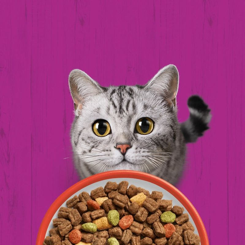 Whiskas 1+ govedina