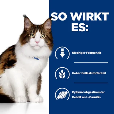 So wirkt es: Niedriger Fettgehalt, hoher Ballaststoffanteil, optimal abgestimmter Gehalt an L-Carnitin.