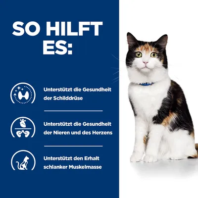 So hilft es: Unterstützt die Gesundheit der Schilddrüse, der Nieren und des Herzens sowie den Erhalt schlanker Muskelmasse.