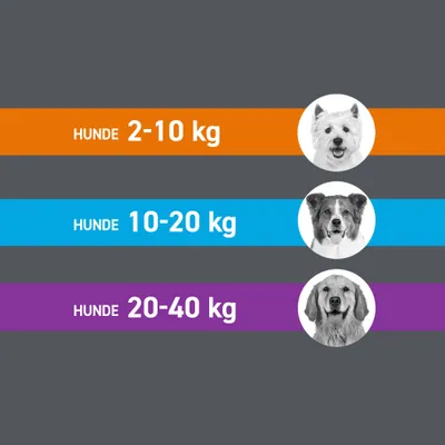 Frontline® Spot on Hund L