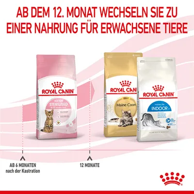 Royal Canin Empfehlung: Ab dem 12. Monat wechseln Sie zu einer Nahrung für erwachsene Tiere. Produkte: Kitten Sterilised, Maine Coon Adult, Home Life Indoor 27.