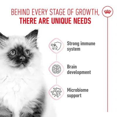 Behind every stage of growth, there are unique needs. Strong immune system, brain development, microbiome support.
