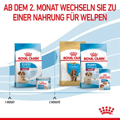 Texte en allemand : « Ab dem 2. Monat wechseln Sie zu einer Nahrung für Welpen ». Sacs et boîtes Royal Canin Starter 1–2 Monate, puis Puppy Cocker et Puppy Medium 2–12 mois. Texte en allemand.