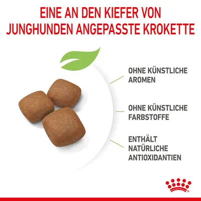 An den Kiefer von Junghunden angepasste Kroketten. Ohne künstliche Aromen, ohne künstliche Farbstoffe, enthält natürliche Antioxidantien.