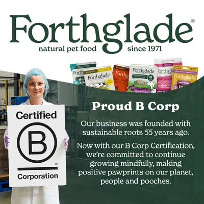 Forthglade Complete Meal Grain-Free Adult Dog - Christmas Classics - 6 x 395g