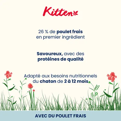 Almo Nature Holistic Kitten poulet, riz pour chaton