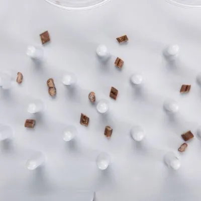 Trixie Cat Activity Fun Board