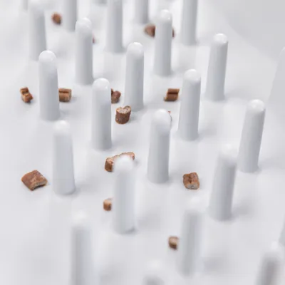 Weisse Kunststoffmatte mit erhöhten Stiften und verstreuten kleinen Futterstücken, geeignet zur langsamen Fütterung oder Beschäftigung.