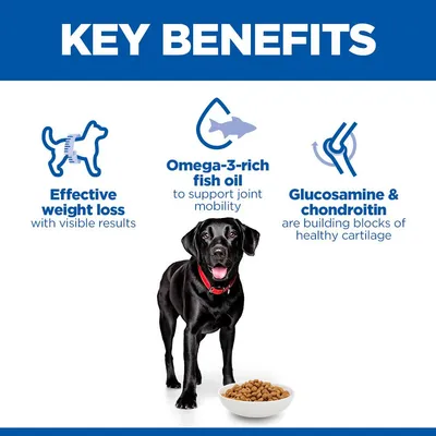 Hill's Science Plan Adult Perfect Weight & Active Mobility Large с пиле