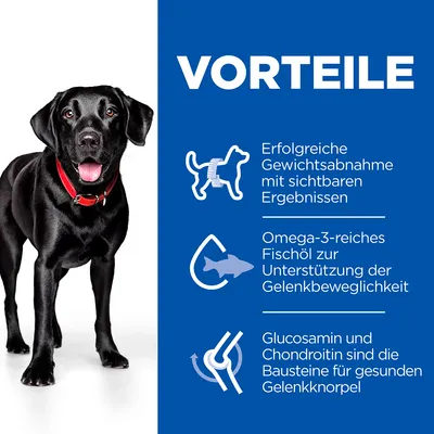 VORTEILE: Erfolgreiche Gewichtsabnahme mit sichtbaren Ergebnissen. Omega-3-reiches Fischöl zur Unterstützung der Gelenkbeweglichkeit. Glucosamin und Chondroitin für gesunden Gelenkknorpel.