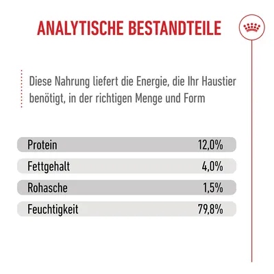 Royal Canin Kitten in Gelee