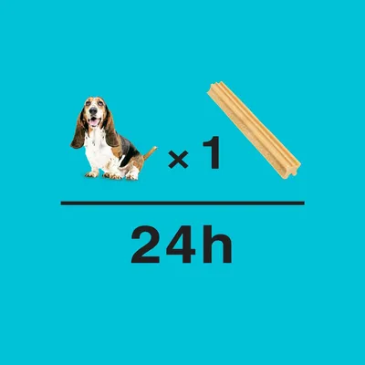 Feeding guide showing one chew stick per 24 hours for a dog.