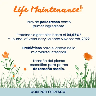 Almo Nature Life Maintenance Adult Medium pollo y arroz