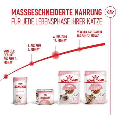 Royal Canin Kitten in Soße