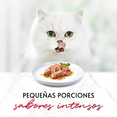 Texto: pequeñas porciones, sabores intensos. Plato blanco con trozos de comida húmeda en salsa.
