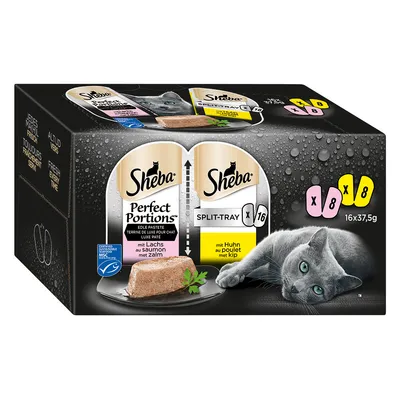 Sheba Perfect Portions Split-Tray kissan märkäruoka, 16 x 37,5 g: 8 annosta lohi, 8 annosta kana. Pakkauksessa harmaa kissa ja paté-annos. Näkyvissä MSC-merkki.