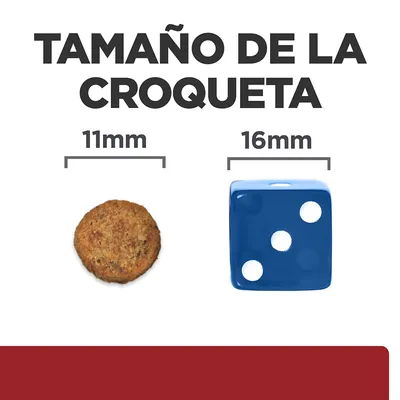 Tamaño de la croqueta: 11 mm comparado con un dado azul de 16 mm. Texto visible: 'TAMAÑO DE LA CROQUETA', '11mm', '16mm'.