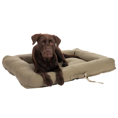 Brauner Hund liegt auf einem beigen, gepolsterten Hundebett mit verstellbarem Riemen.