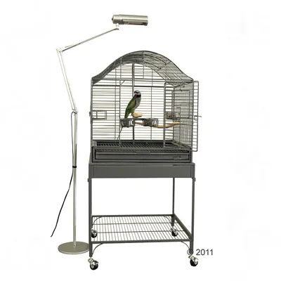 Vogelkäfig mit gewölbtem Dach, Sitzstangen, Futternäpfen und herausziehbarer Schublade auf Rollen. Enthält eine Lampe und einen Vogel im Inneren.